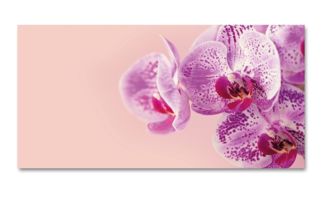 Spritzschutz Küche Exotische Orchidee