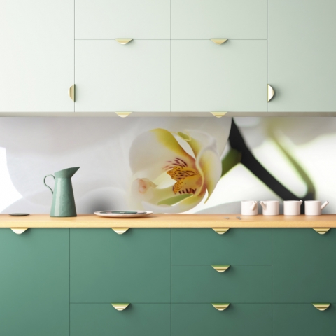 Spritzschutz Küche Weiße Makro Orchidee