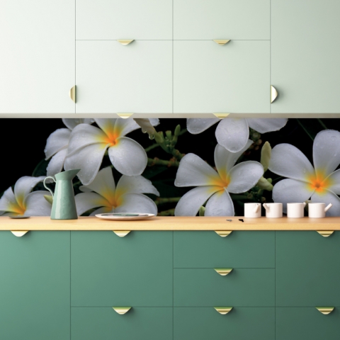 Spritzschutz Küche Plumeria Blume