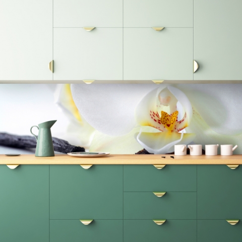 Spritzschutz Küche Orchidee Zimt