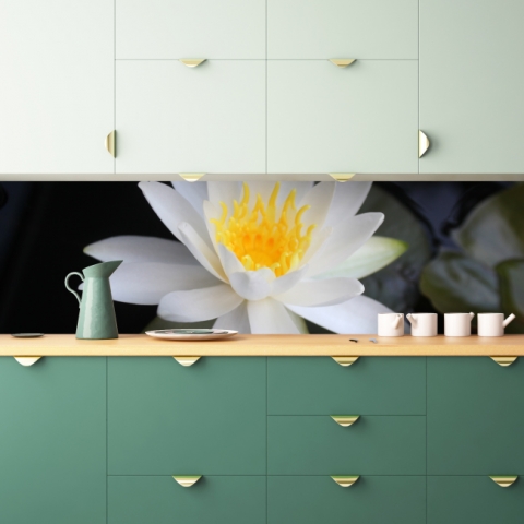 Spritzschutz Küche Weiße Lotus