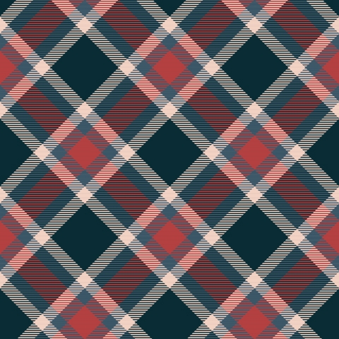 Spritzschutz Küche 50er Tartan