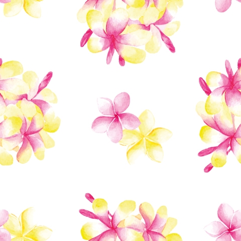 Spritzschutz Küche Aquarell Plumeria Blüten