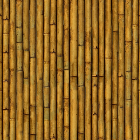 Türposter Bambus Rinde