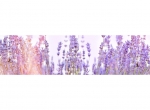 Küchenrückwand Folie Lavendel