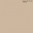 Küchenrückwand Bisque3 (205 183 158) #CDB79E