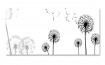 Spritzschutz Küche Pusteblume