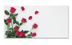 Spritzschutz Küche Rosen Strauß